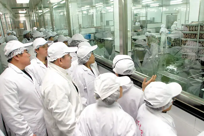 如何創建更好的食品凈化項目